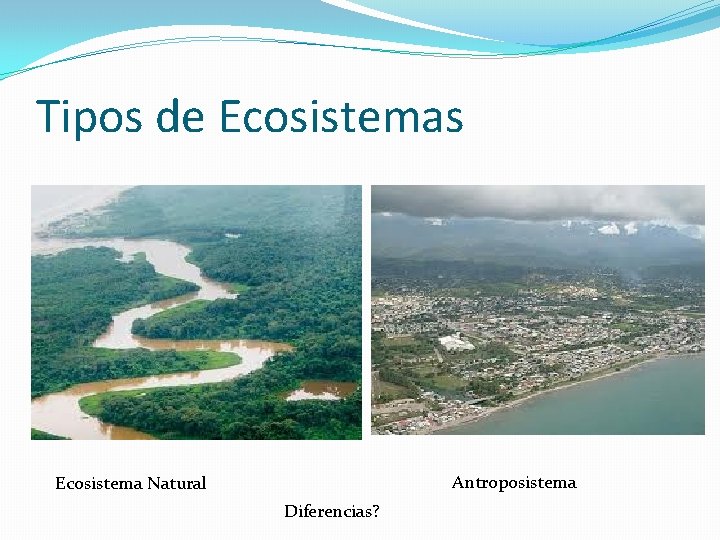 Tipos de Ecosistemas Antroposistema Ecosistema Natural Diferencias? 