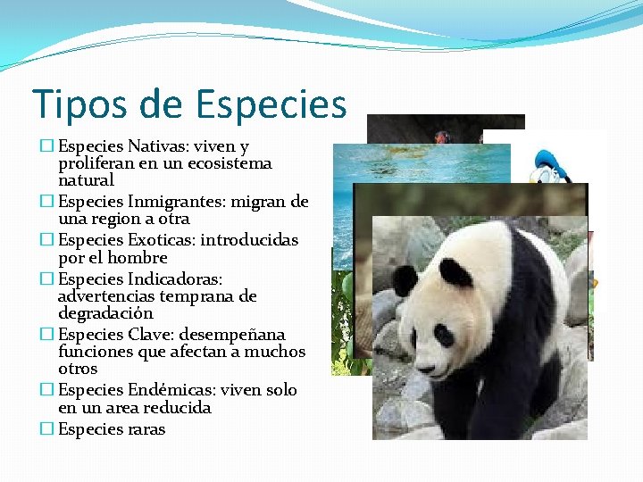 Tipos de Especies � Especies Nativas: viven y proliferan en un ecosistema natural �