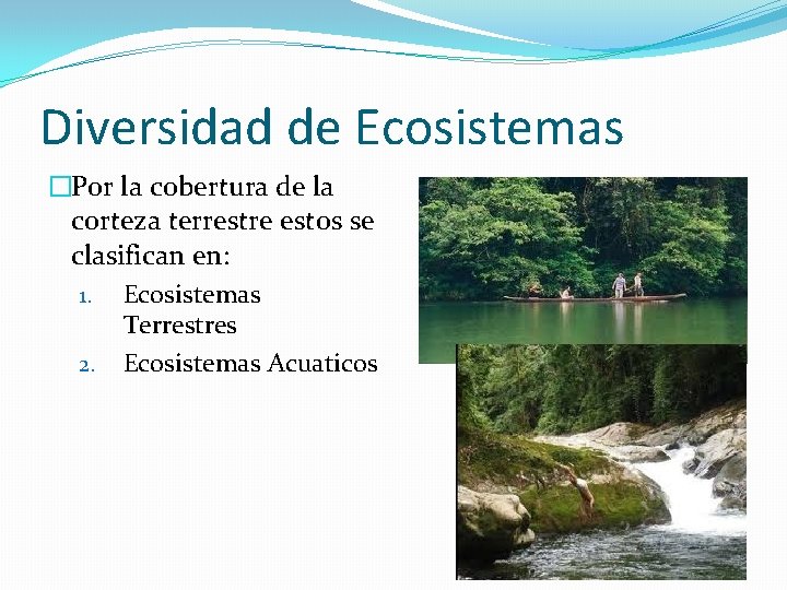 Diversidad de Ecosistemas �Por la cobertura de la corteza terrestre estos se clasifican en: