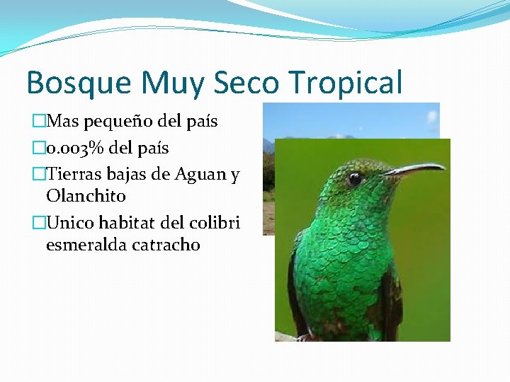 Bosque Muy Seco Tropical �Mas pequeño del país � 0. 003% del país �Tierras