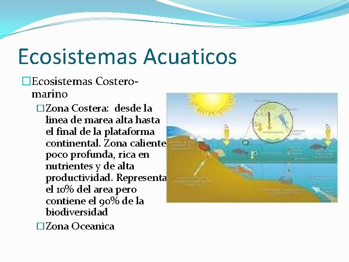 Ecosistemas Acuaticos �Ecosistemas Costeromarino �Zona Costera: desde la linea de marea alta hasta el