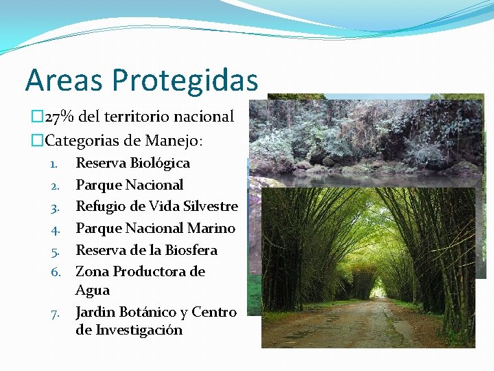 Areas Protegidas � 27% del territorio nacional �Categorias de Manejo: 1. 2. 3. 4.
