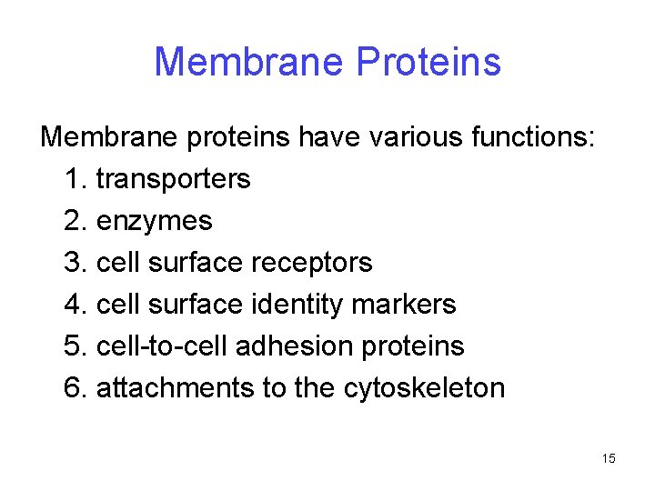 Membrane Proteins Membrane proteins have various functions: 1. transporters 2. enzymes 3. cell surface Membrane Proteins Membrane proteins have various functions: 1. transporters 2. enzymes 3. cell surface
