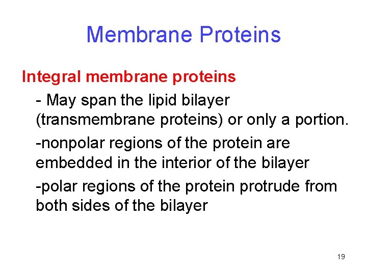 Membrane Proteins Integral membrane proteins - May span the lipid bilayer (transmembrane proteins) or Membrane Proteins Integral membrane proteins - May span the lipid bilayer (transmembrane proteins) or