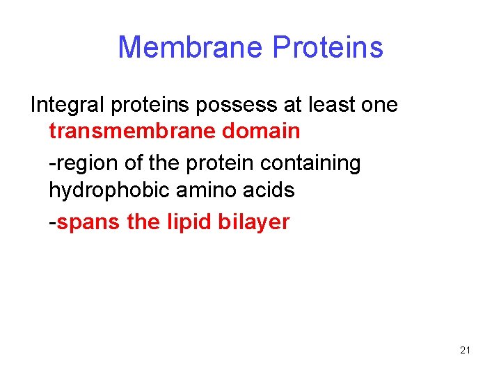 Membrane Proteins Integral proteins possess at least one transmembrane domain -region of the protein Membrane Proteins Integral proteins possess at least one transmembrane domain -region of the protein