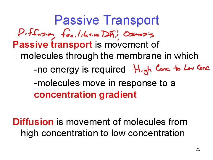 Passive Transport Passive transport is movement of molecules through the membrane in which -no Passive Transport Passive transport is movement of molecules through the membrane in which -no