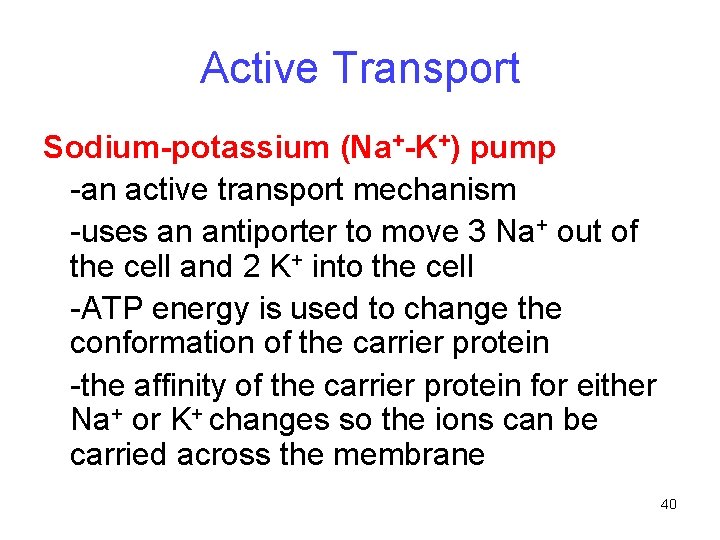 Active Transport Sodium-potassium (Na+-K+) pump -an active transport mechanism -uses an antiporter to move Active Transport Sodium-potassium (Na+-K+) pump -an active transport mechanism -uses an antiporter to move