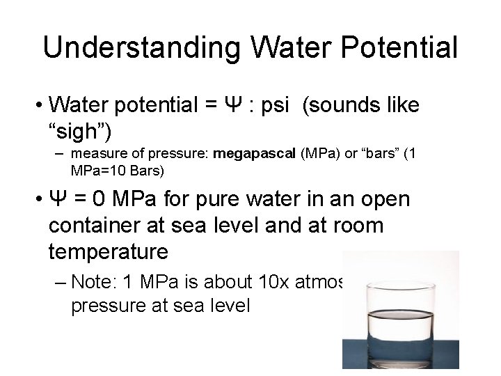 Understanding Water Potential • Water potential = Ψ : psi (sounds like “sigh”) – Understanding Water Potential • Water potential = Ψ : psi (sounds like “sigh”) –