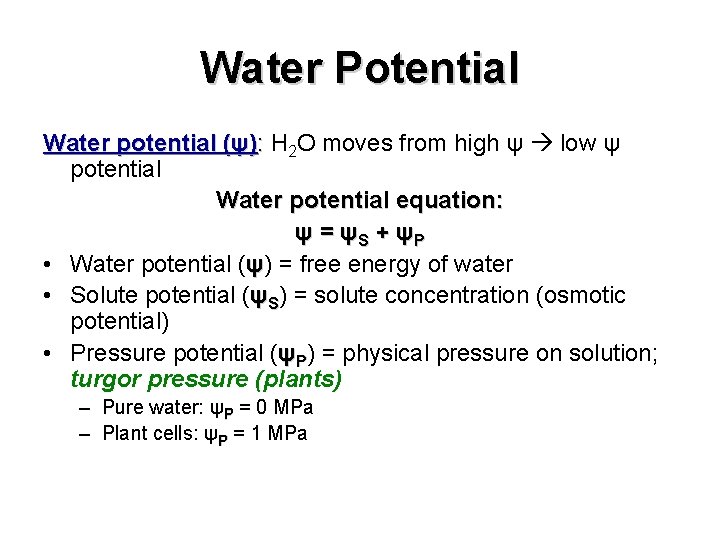 Water Potential Water potential (ψ): H 2 O moves from high ψ low ψ Water Potential Water potential (ψ): H 2 O moves from high ψ low ψ