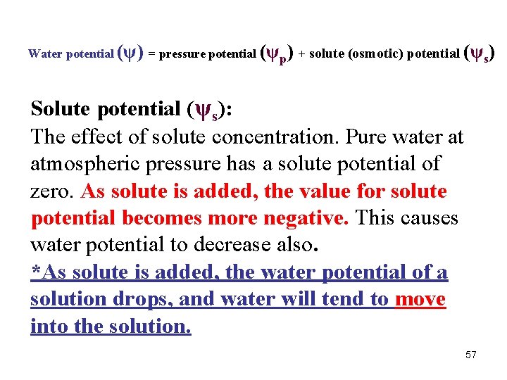 Water potential (ψ) = pressure potential (ψp) + solute (osmotic) potential (ψs) Solute potential Water potential (ψ) = pressure potential (ψp) + solute (osmotic) potential (ψs) Solute potential