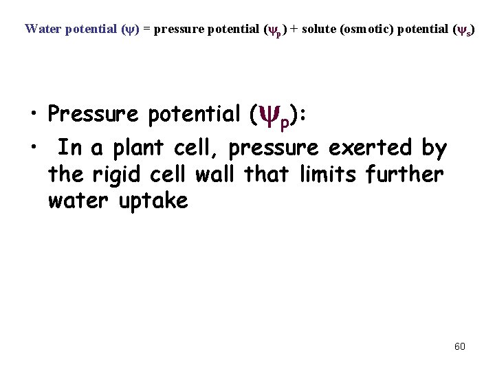 Water potential (ψ) = pressure potential (ψp) + solute (osmotic) potential (ψs) • Pressure Water potential (ψ) = pressure potential (ψp) + solute (osmotic) potential (ψs) • Pressure