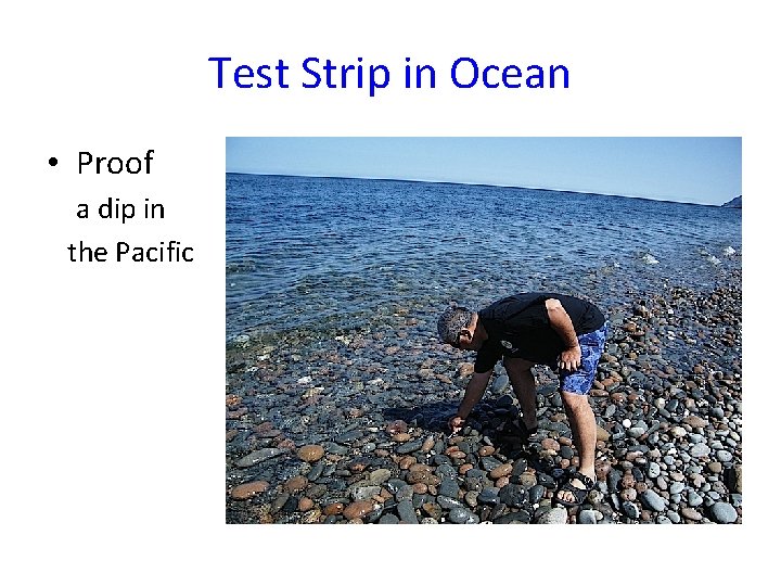Test Strip in Ocean • Proof a dip in the Pacific 