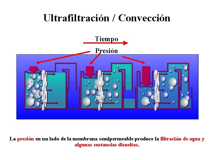 Ultrafiltración / Convección Tiempo Presión La presión en un lado de la membrana semipermeable