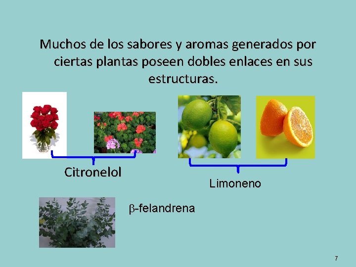 Muchos de los sabores y aromas generados por ciertas plantas poseen dobles enlaces en