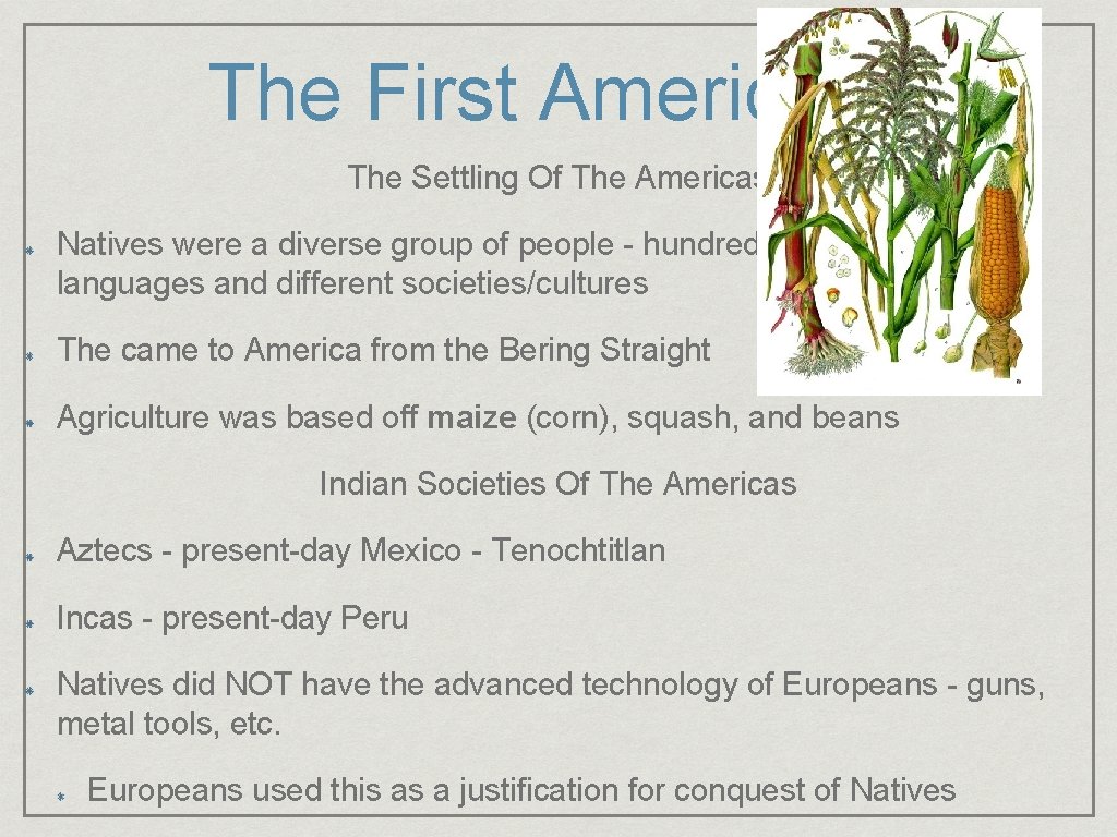 The First Americans The Settling Of The Americas Natives were a diverse group of
