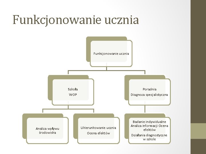 Funkcjonowanie ucznia Szkoła WOP Analiza wpływu środowiska Poradnia Diagnoza specjalistyczna Ukierunkowanie ucznia Ocena efektów