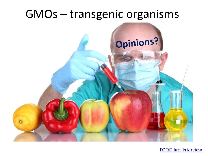 GMOs – transgenic organisms Opinions? FOOD Inc. Interview 