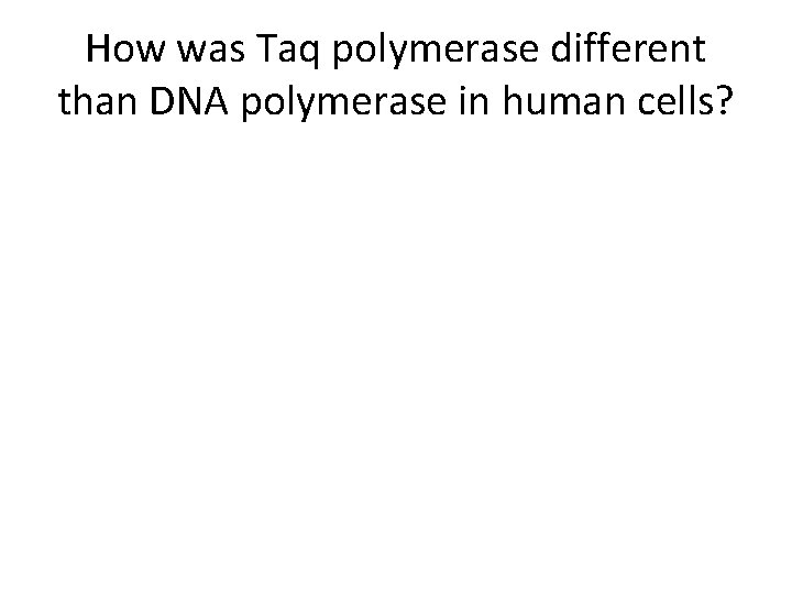 How was Taq polymerase different than DNA polymerase in human cells? 