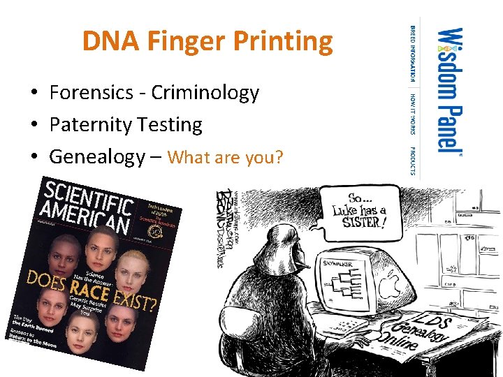 DNA Finger Printing • Forensics - Criminology • Paternity Testing • Genealogy – What