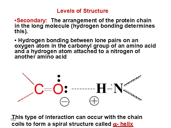 Levels of Structure • Secondary: The arrangement of the protein chain in the long