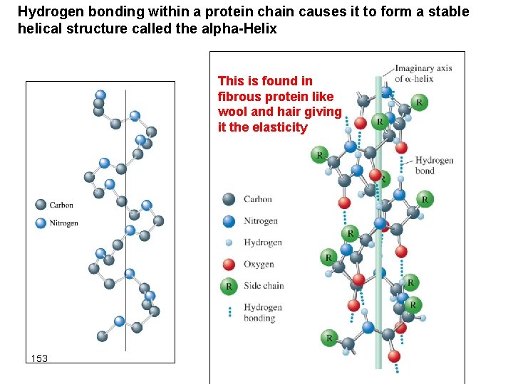 Hydrogen bonding within a protein chain causes it to form a stable helical structure