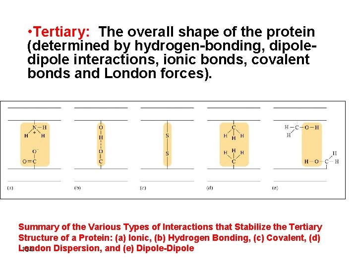  • Tertiary: The overall shape of the protein (determined by hydrogen-bonding, dipole interactions,