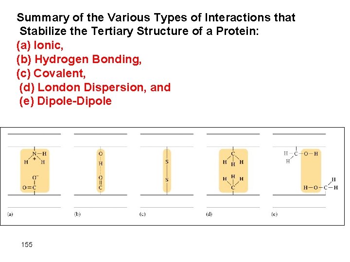 Summary of the Various Types of Interactions that Stabilize the Tertiary Structure of a