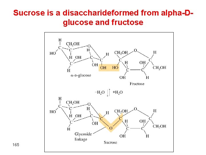 Sucrose is a disaccharideformed from alpha-Dglucose and fructose 165 
