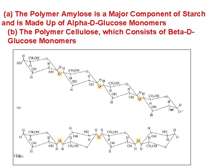 (a) The Polymer Amylose is a Major Component of Starch and is Made Up