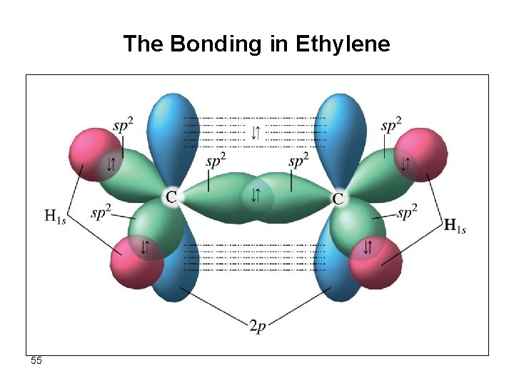 The Bonding in Ethylene 55 