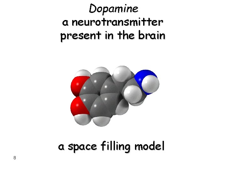 Dopamine a neurotransmitter present in the brain a space filling model 8 