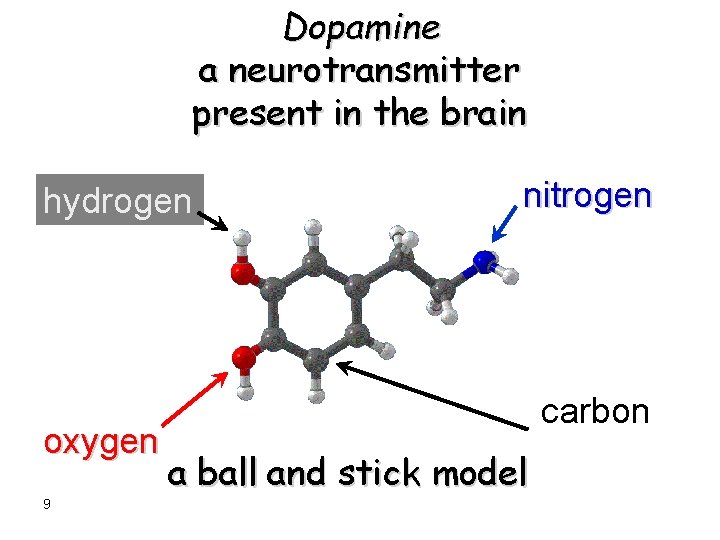 Dopamine a neurotransmitter present in the brain hydrogen oxygen 9 nitrogen carbon a ball
