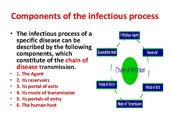 Components of the infectious process • The infectious process of a specific disease can