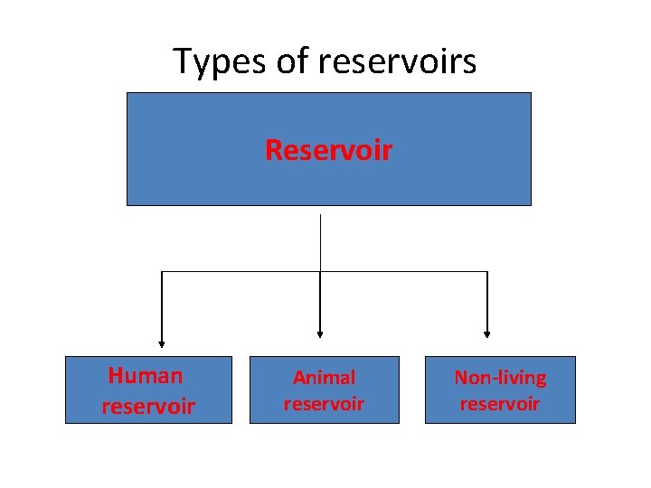 Types of reservoirs Reservoir Human reservoir Animal reservoir Non-living reservoir 