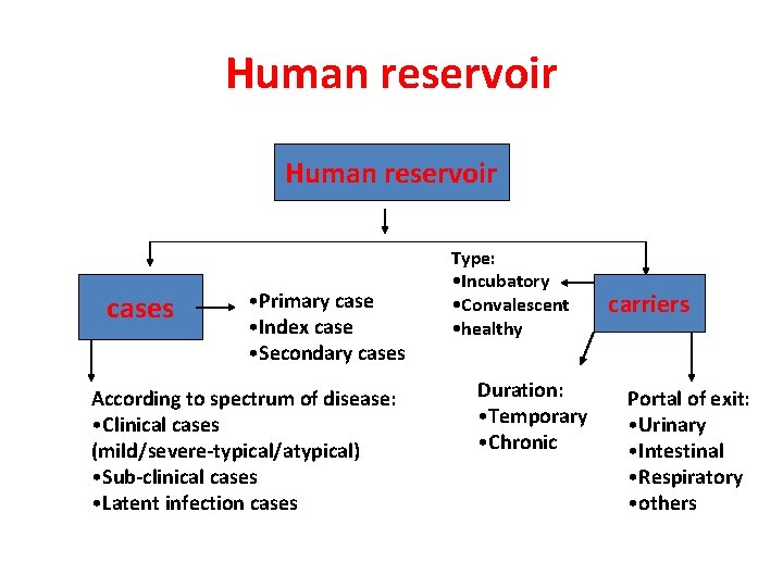 Human reservoir cases • Primary case • Index case • Secondary cases According to