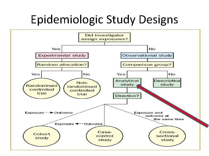 Epidemiologic Study Designs 