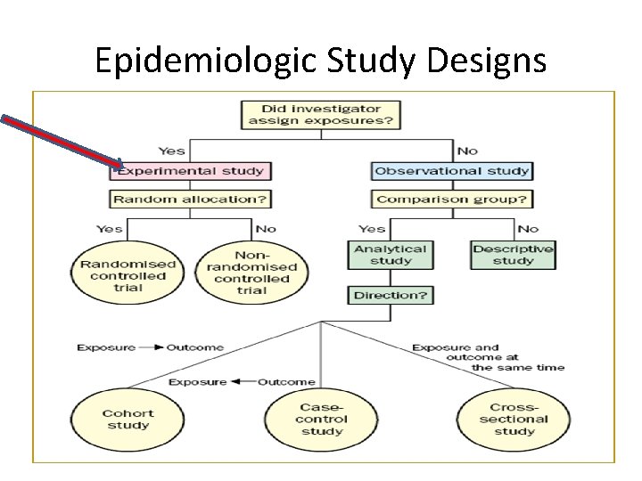 Epidemiologic Study Designs 