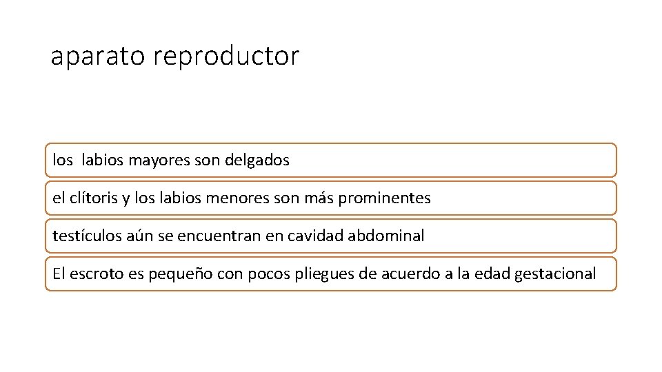 aparato reproductor los labios mayores son delgados el clítoris y los labios menores son