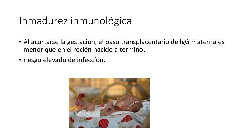 Inmadurez inmunológica • Al acortarse la gestación, el paso transplacentario de Ig. G materna