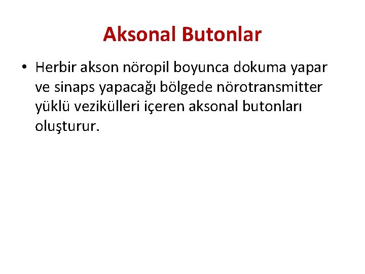 Aksonal Butonlar • Herbir akson nöropil boyunca dokuma yapar ve sinaps yapacağı bölgede nörotransmitter