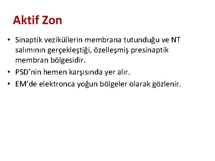 Aktif Zon • Sinaptik veziküllerin membrana tutunduğu ve NT salımının gerçekleştiği, özelleşmiş presinaptik membran