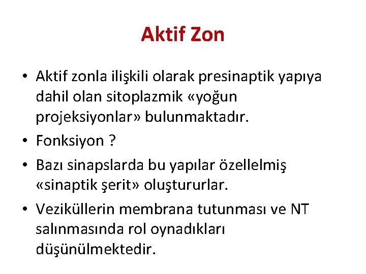 Aktif Zon • Aktif zonla ilişkili olarak presinaptik yapıya dahil olan sitoplazmik «yoğun projeksiyonlar»