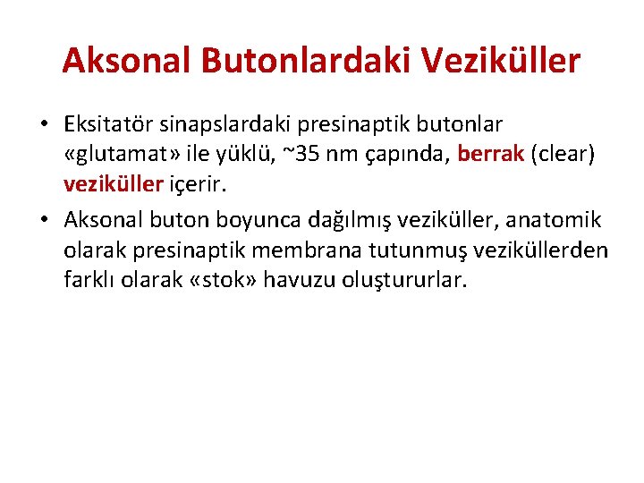 Aksonal Butonlardaki Veziküller • Eksitatör sinapslardaki presinaptik butonlar «glutamat» ile yüklü, ~35 nm çapında,