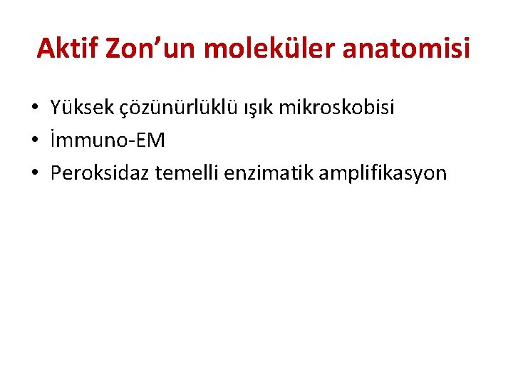 Aktif Zon’un moleküler anatomisi • Yüksek çözünürlüklü ışık mikroskobisi • İmmuno-EM • Peroksidaz temelli