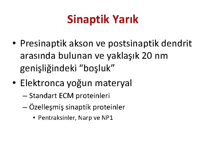 Sinaptik Yarık • Presinaptik akson ve postsinaptik dendrit arasında bulunan ve yaklaşık 20 nm