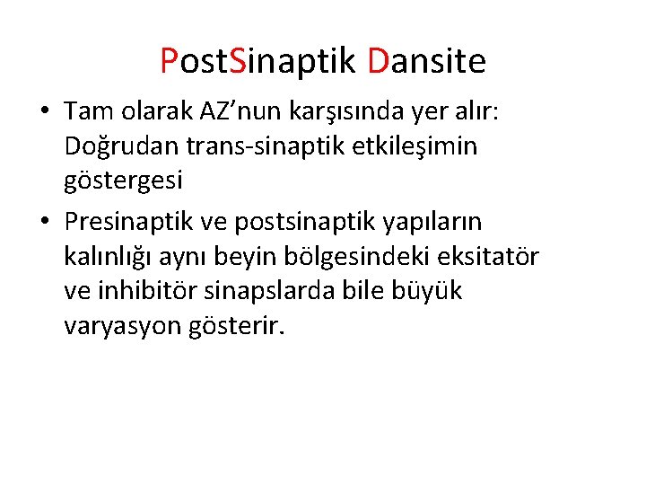 Post. Sinaptik Dansite • Tam olarak AZ’nun karşısında yer alır: Doğrudan trans-sinaptik etkileşimin göstergesi