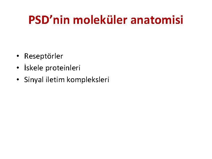 PSD’nin moleküler anatomisi • Reseptörler • İskele proteinleri • Sinyal iletim kompleksleri 