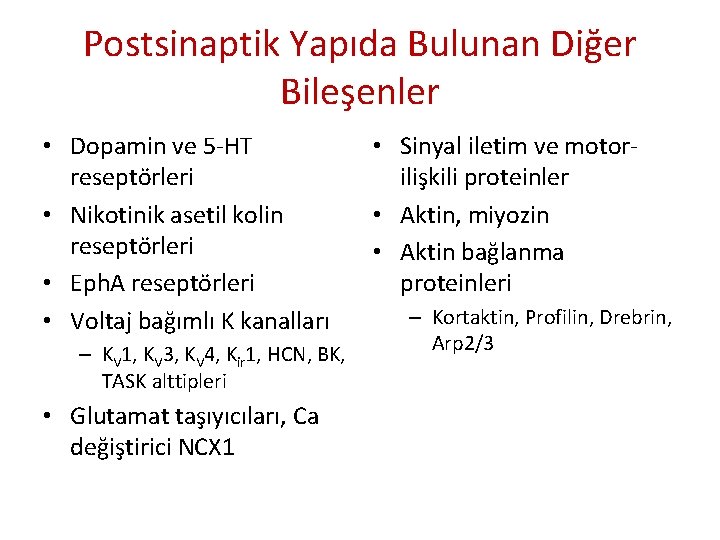 Postsinaptik Yapıda Bulunan Diğer Bileşenler • Dopamin ve 5 -HT reseptörleri • Nikotinik asetil