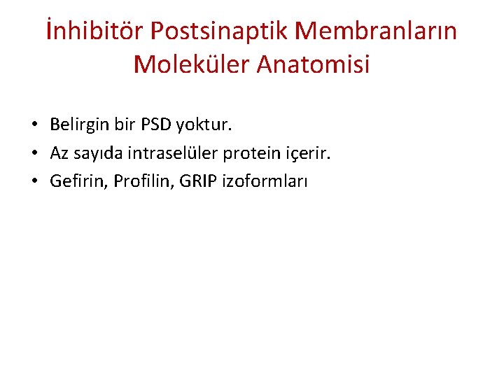 İnhibitör Postsinaptik Membranların Moleküler Anatomisi • Belirgin bir PSD yoktur. • Az sayıda intraselüler