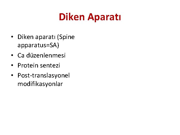 Diken Aparatı • Diken aparatı (Spine apparatus=SA) • Ca düzenlenmesi • Protein sentezi •